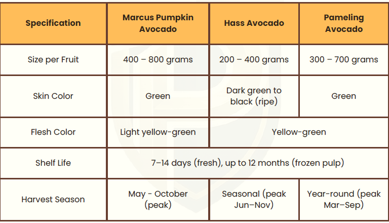 Comparison chart of Marcus Pumpkin, Hass, and Pameling avocado varieties by size, color, and season.