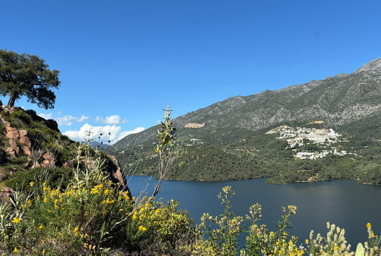A tree growing from the rock and a white pueblo in the mountains