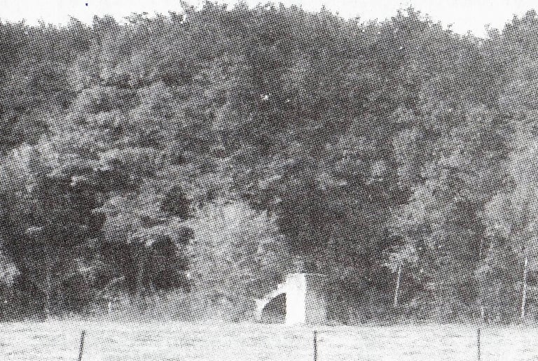 Mausolée de Limoy (1920 ?) aujourd'hui disparu