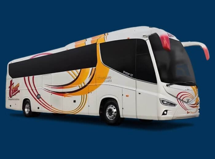 autobus para 51 pasajeros - renta de autobuses en morelia