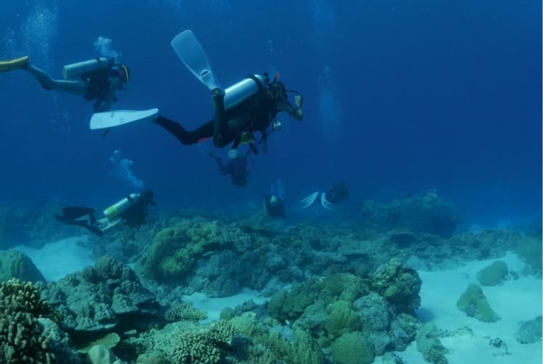 Scuba divers exploring a vibrant tropical coral reef in deep blue ocean water.