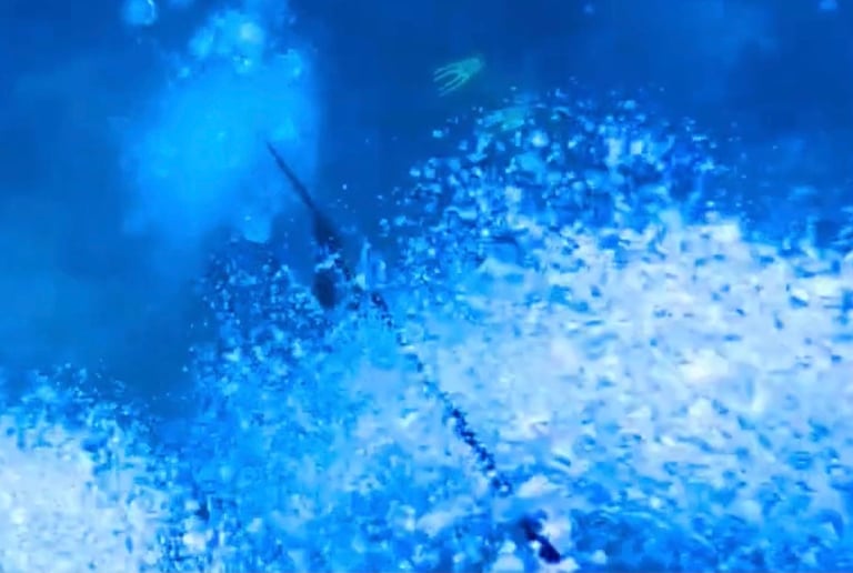Underwater view of bubbles rising through deep blue water with sunlight filtering from the surface.