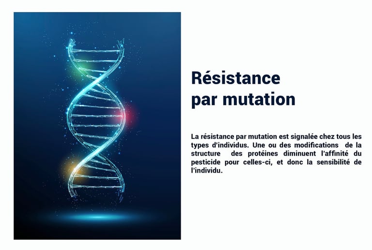 PESTICIDES RÉSISTANCE MUTATION