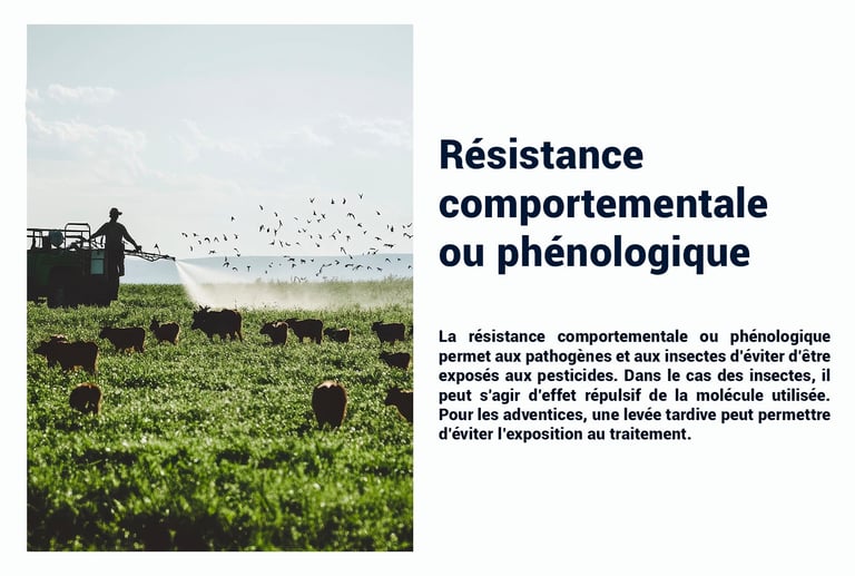 PESTICIDES RESISTANCE COMPORTEMENTALE PHÉNOLOGIQUE