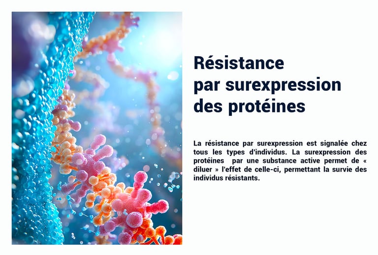 PESTICIDES RÉSISTANCE SUREXPRESSION PROTÉINES