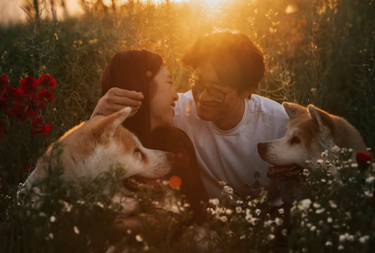 famiglia-con-due-cani-al-tramonto
