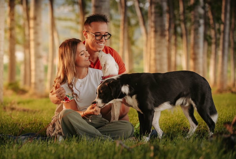 ragazzo, ragazza e due cani al tramonto nel bosco incantato