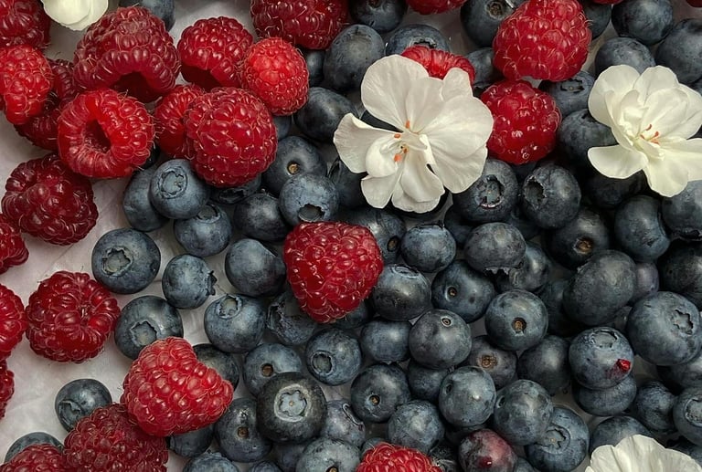Alimentos antioxidantes