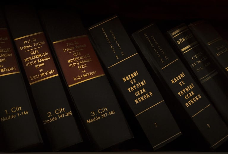 Antalya avukat ofisi – hukuk kitaplarıyla dolu profesyonel çalışma alanı