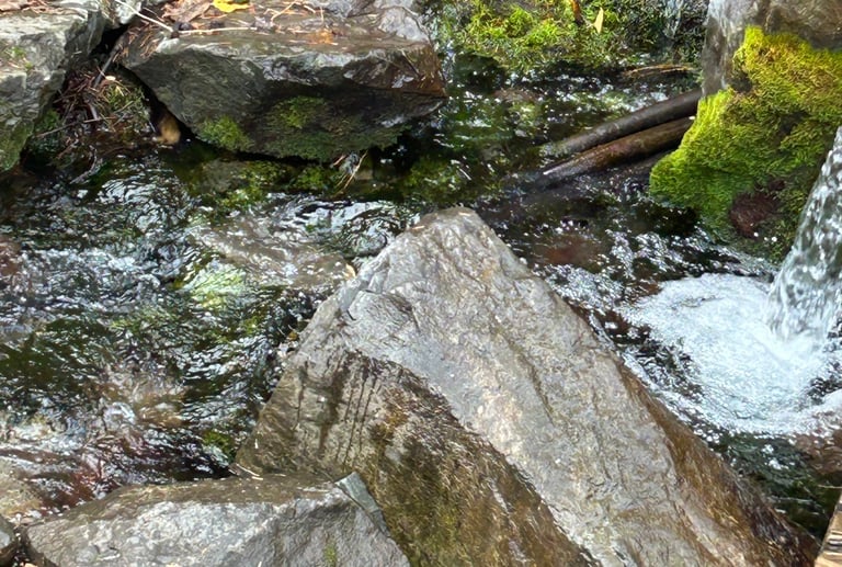Mountain spring water flowing over mossy rocks with clear natural runoff.