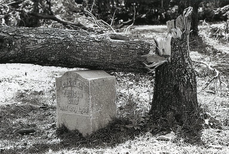 The Fallen