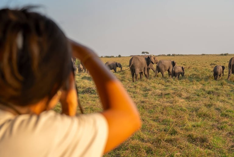 Salas Camp, Kenya - elephants