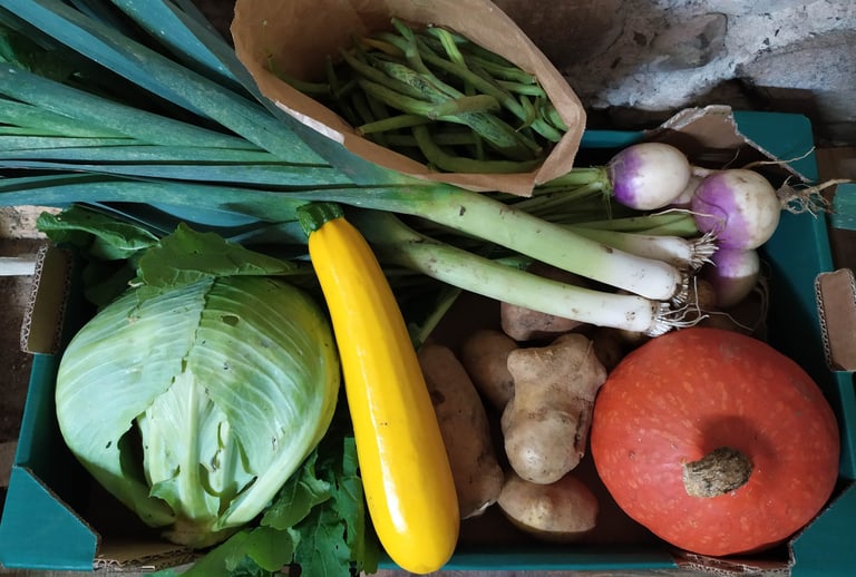 Panier de légumes bio