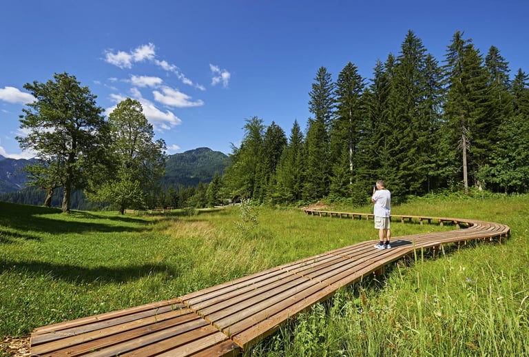 a man walking on a wooden bridge over a grassy area