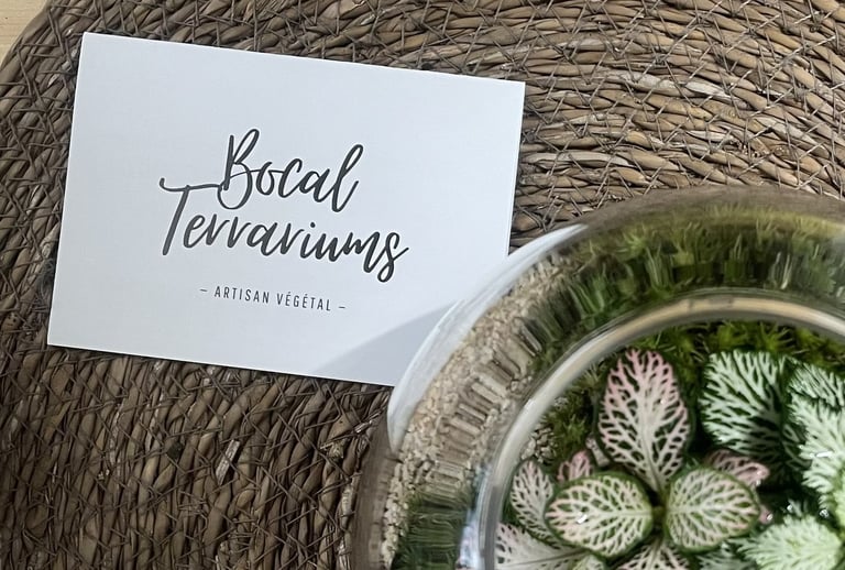 Entretien d'un terrarium Bocal terrarium