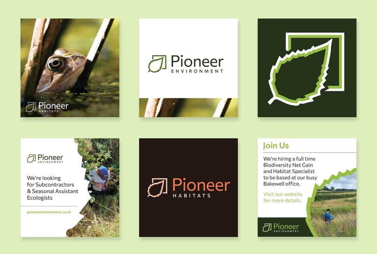 social media tiles for branded ecology company