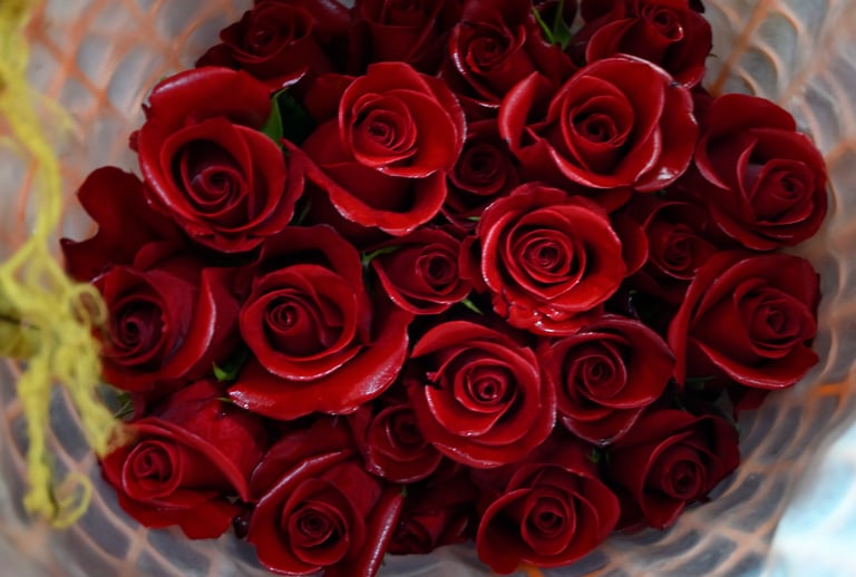 flower farm tour Ecuador from Quito