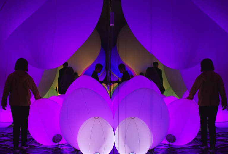 "Borderless Reflection 1" - Team Lab Borderless Installation in Odaiba, Japan
