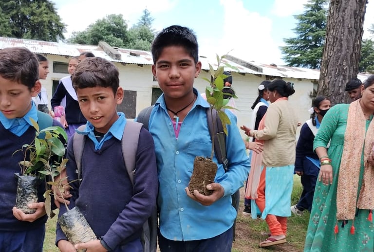 Best NGO for tree plantation