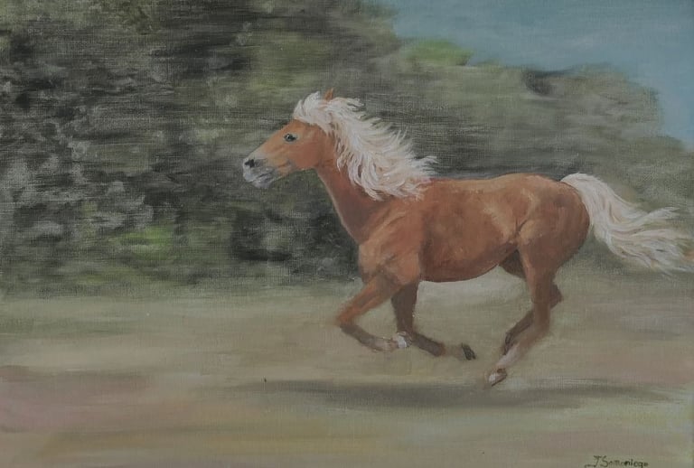 al galope . acrilico 30x40cm