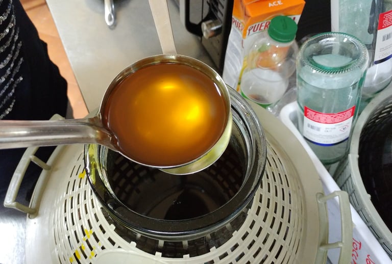 Olio di lentischio della tradizione sarda estratto con lavorazione artigianale