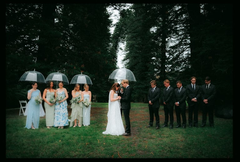 Bride, groom and bridal party standing beneath the pine trees at Araucaria Avenue Adelaide