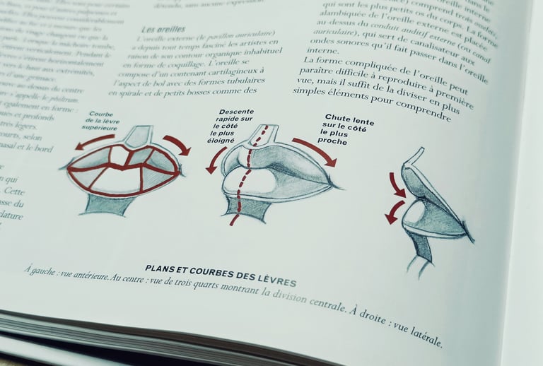 Le dessin d'anatomie classique par Valerie L. Winslow 