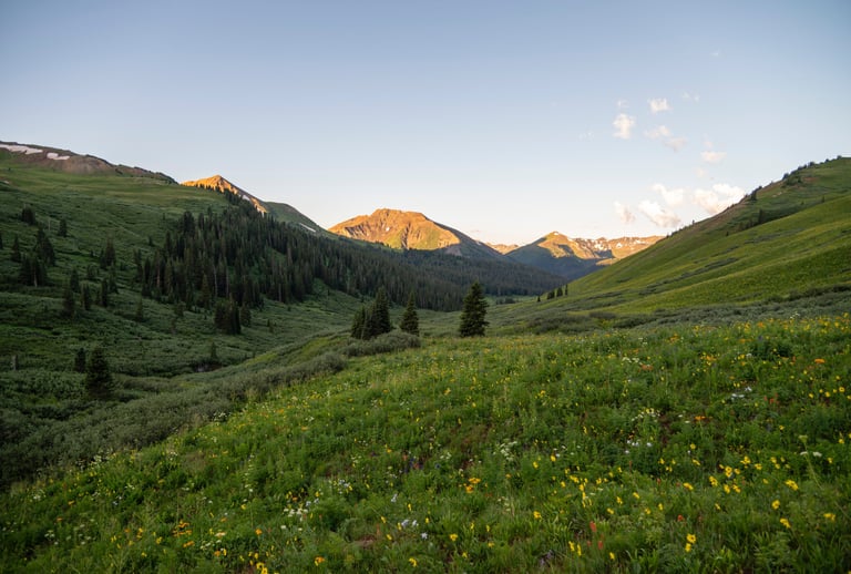 Wildflowers abound below West Maroon Pass; sunrise illumines Mount Baldy and Elk Mountain peaks