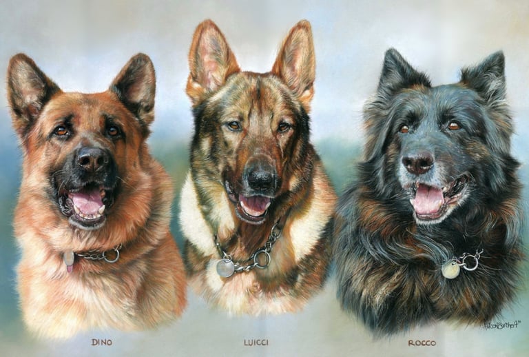 Pastel Portrait of 3 German Shephards by Alison Burchert