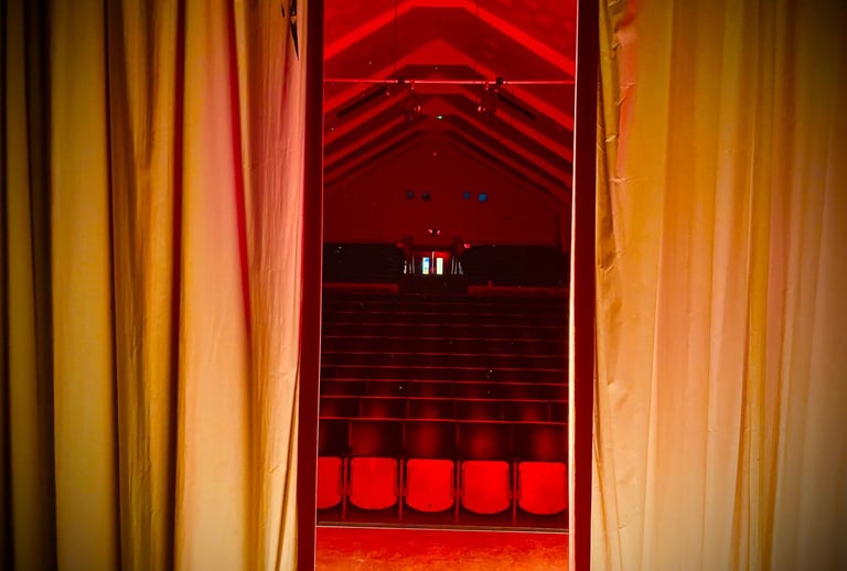 A view of an auditorium from the stage through the curtains
