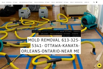 Mold Removal Near Me