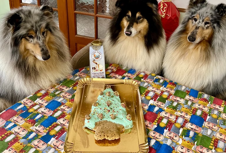 gâteau noel pour chiens