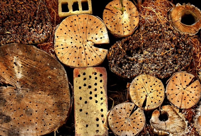 Log piles for insects