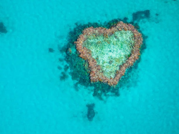 Heart shaped reef