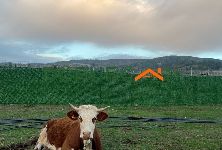 Bursa çimçit çimli tel Bursa'da çimçit Bursa panel çit Doburcam tel çit Doburcam yapı Bursa tel çit