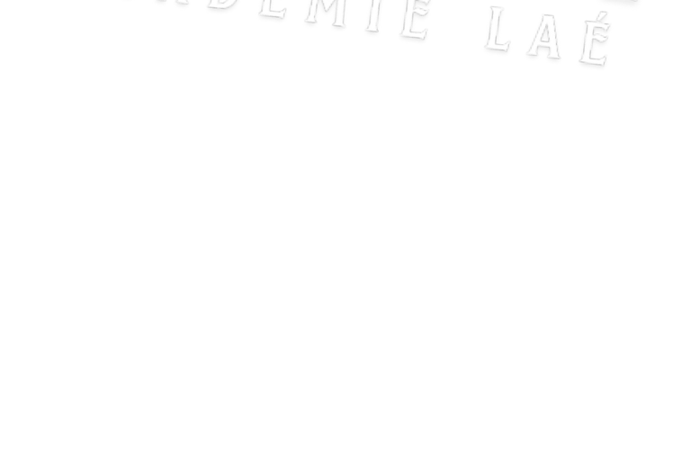 Académie Laé par Pierre Laé : cours particuliers pour enfants et ados, stages toute l'année et ressources pédagogiques