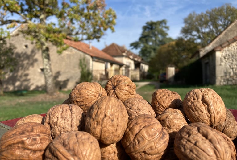 Biscuiterie de l'Apothicaire, Concots (Lot)