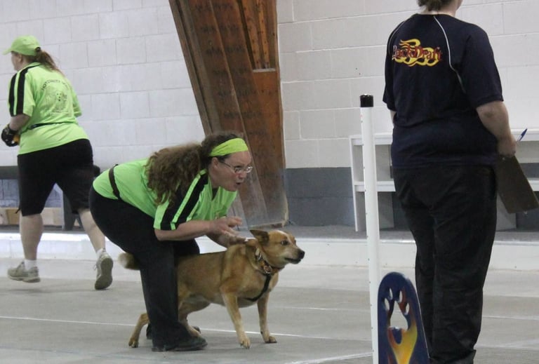 Image of dog.