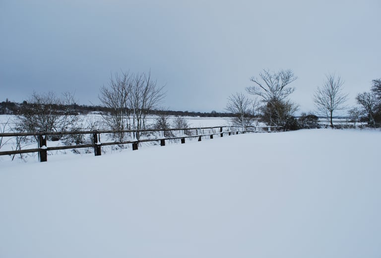 Gîte de la Cour d'Etienville dans les marais du Cotentin
