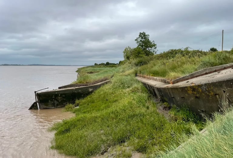 scene on the banks of the estuary