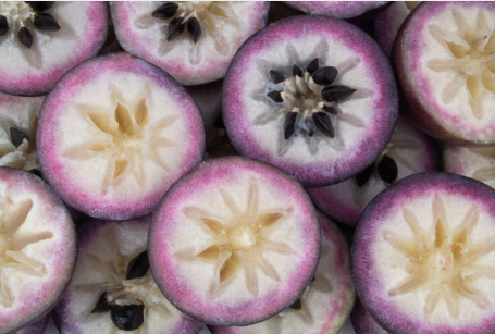 Slices of purple star apple fruit showing the unique star-shaped core and black seeds.
