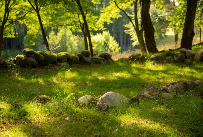 samanoti akmenys žolėtoje aikštelėje