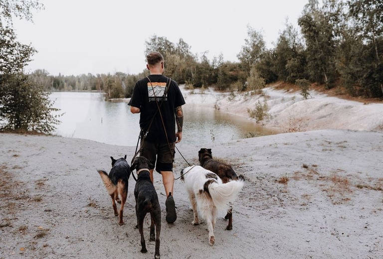 Basti Matern beim Social Walk