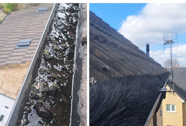 Stroud clogged gutter with moss and debris versus a clean gutter with a brush leaf guard.