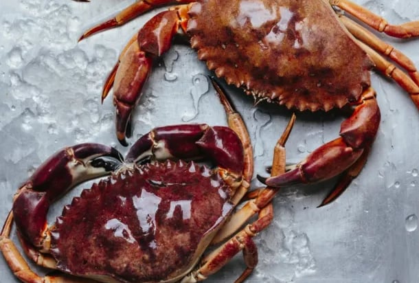 vietnamese crab supplier