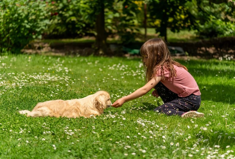 Chien et enfant jouant dans un jardin entretenu – résultat du service La Vie Sans Crotte.