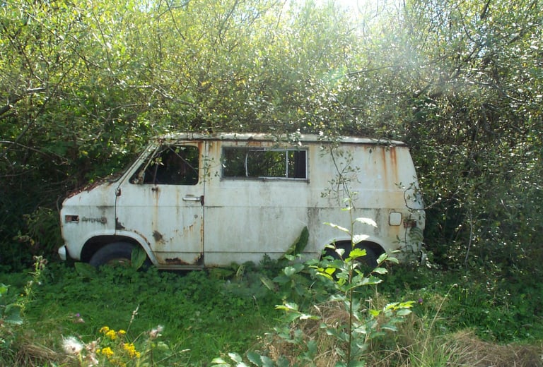 a rusty van in the woods