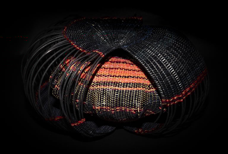 Flight Behavior, 2023, cane, reed, waxes linen