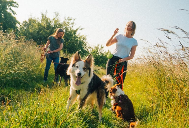 Tabea und Toni mit drei Hunden – Trainingsspaziergang in der Natur mit persönlicher Begleitung