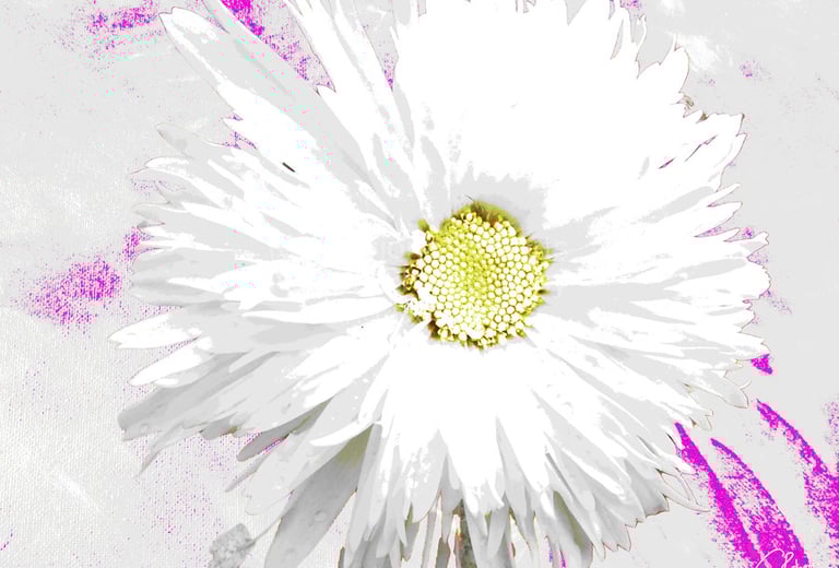 Digital image of floral digital art featuring a Daisy flower on an abstract background.